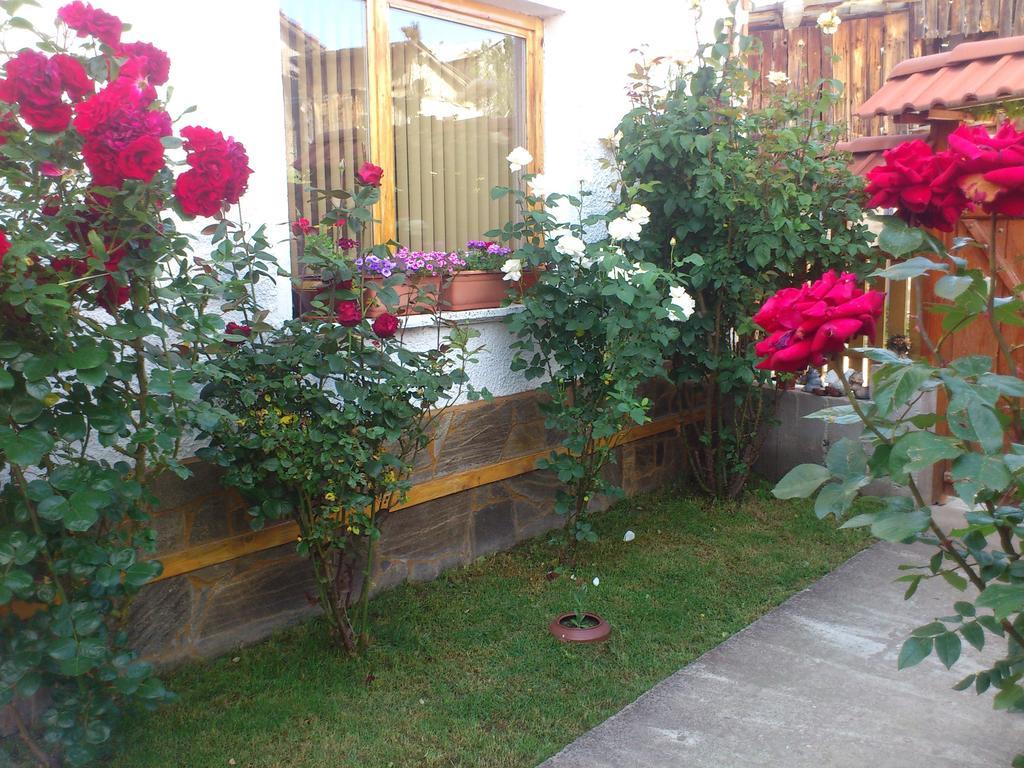 Guest House Stoletnika Yagodina Esterno foto